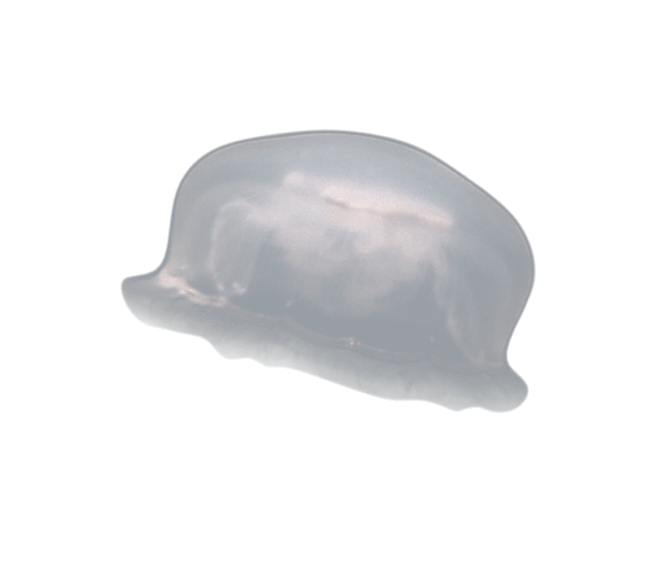 image test