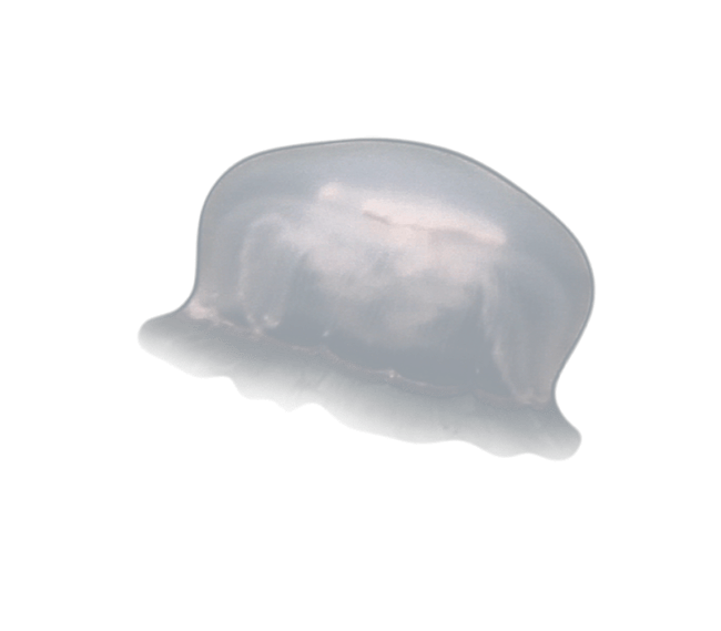 image test