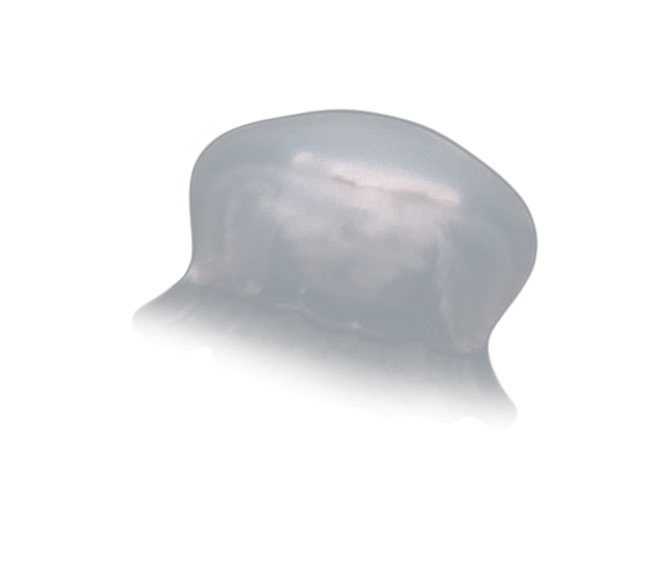 image test