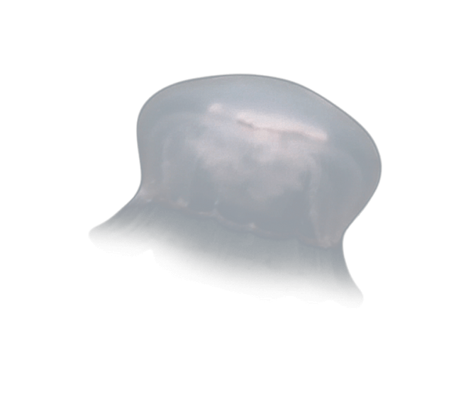image test