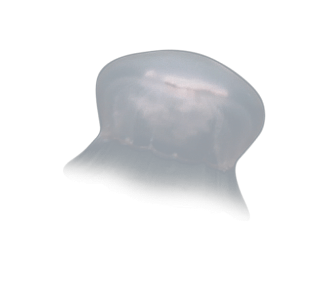 image test