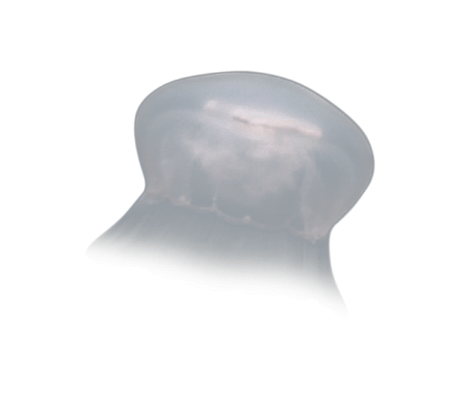 image test