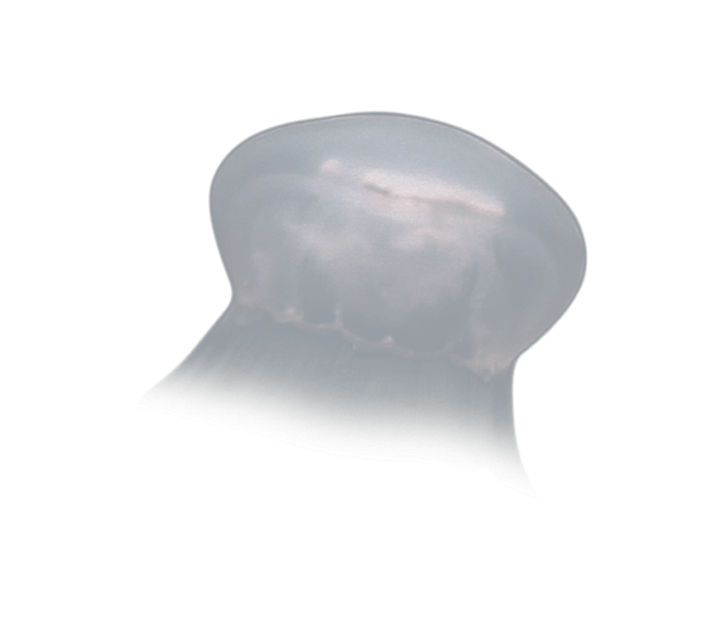 image test