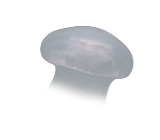 image test