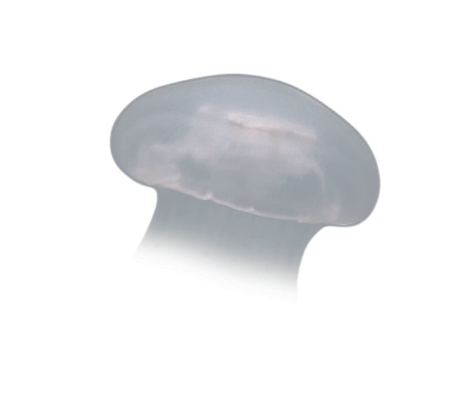 image test