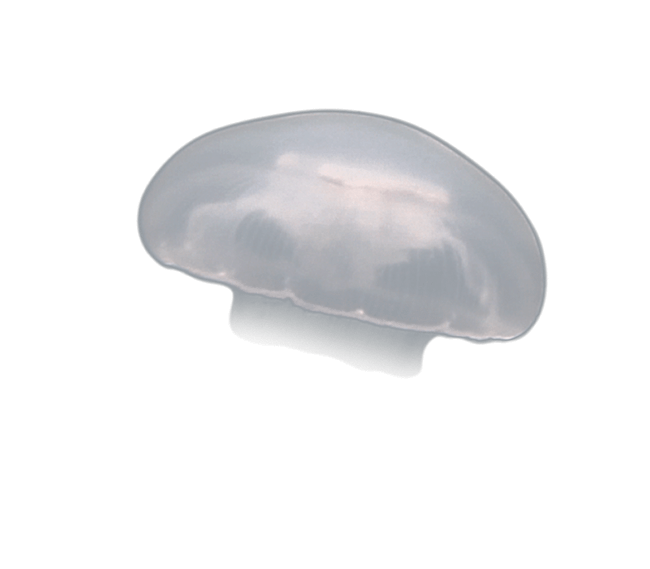 image test