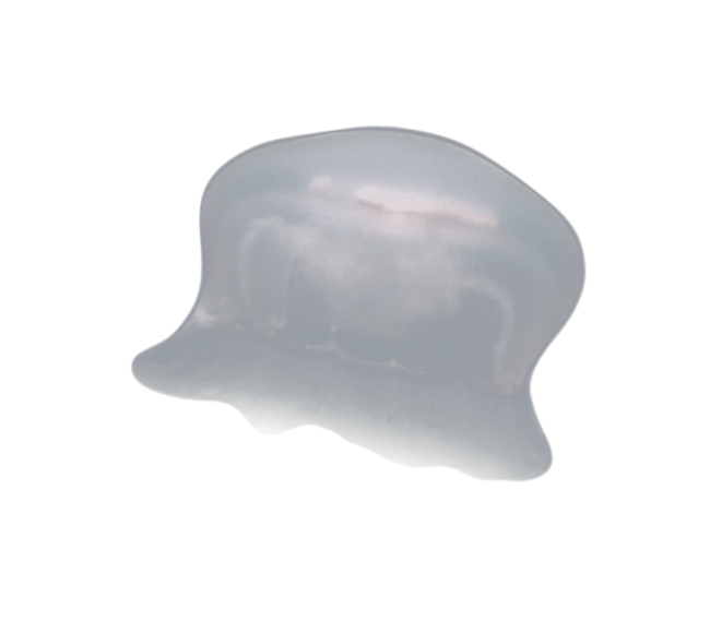 image test