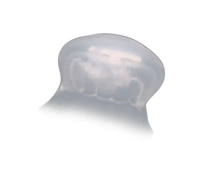 image test