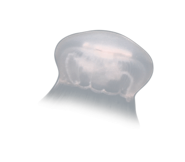 image test