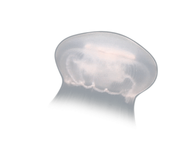 image test