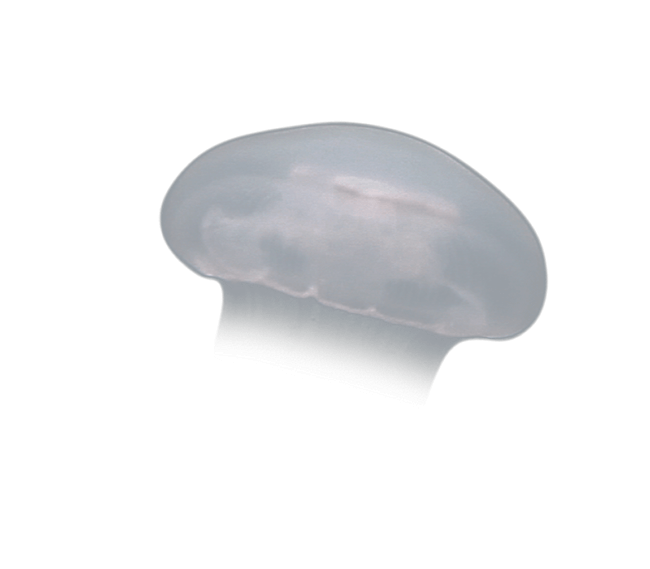 image test