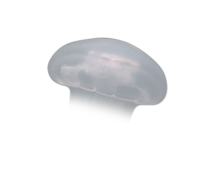image test