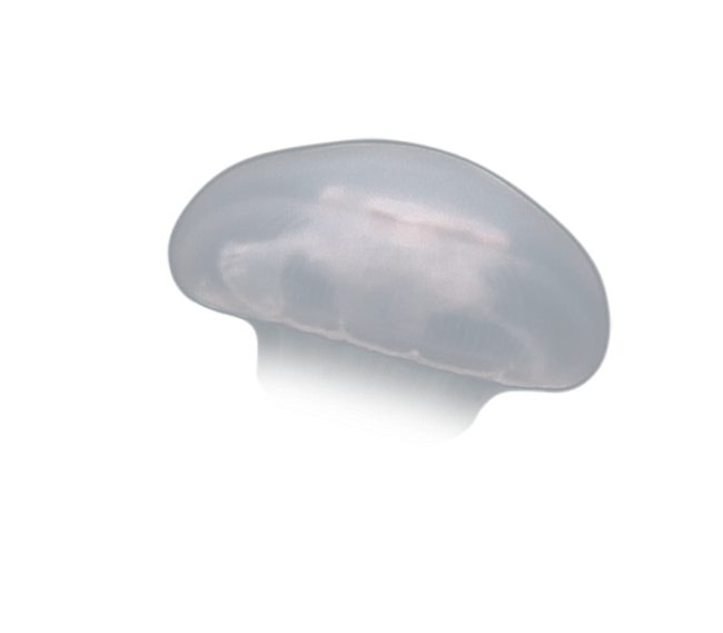 image test