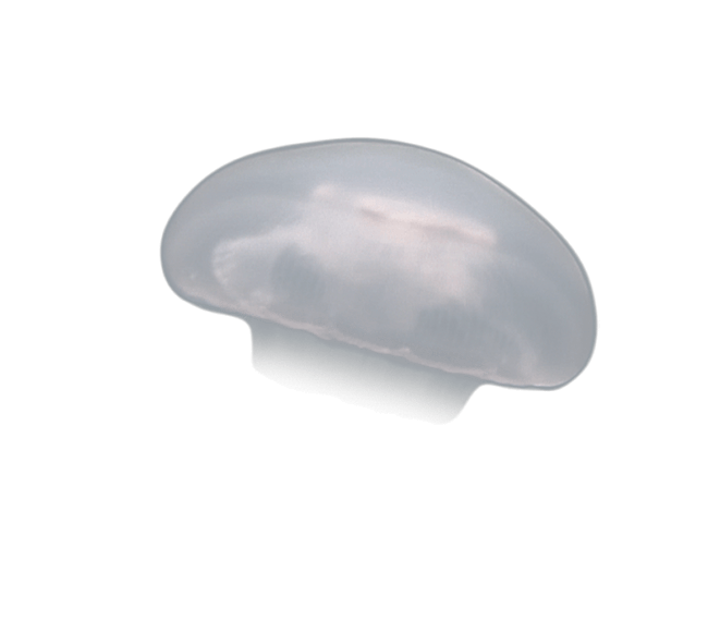 image test