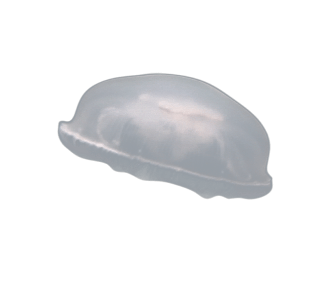 image test