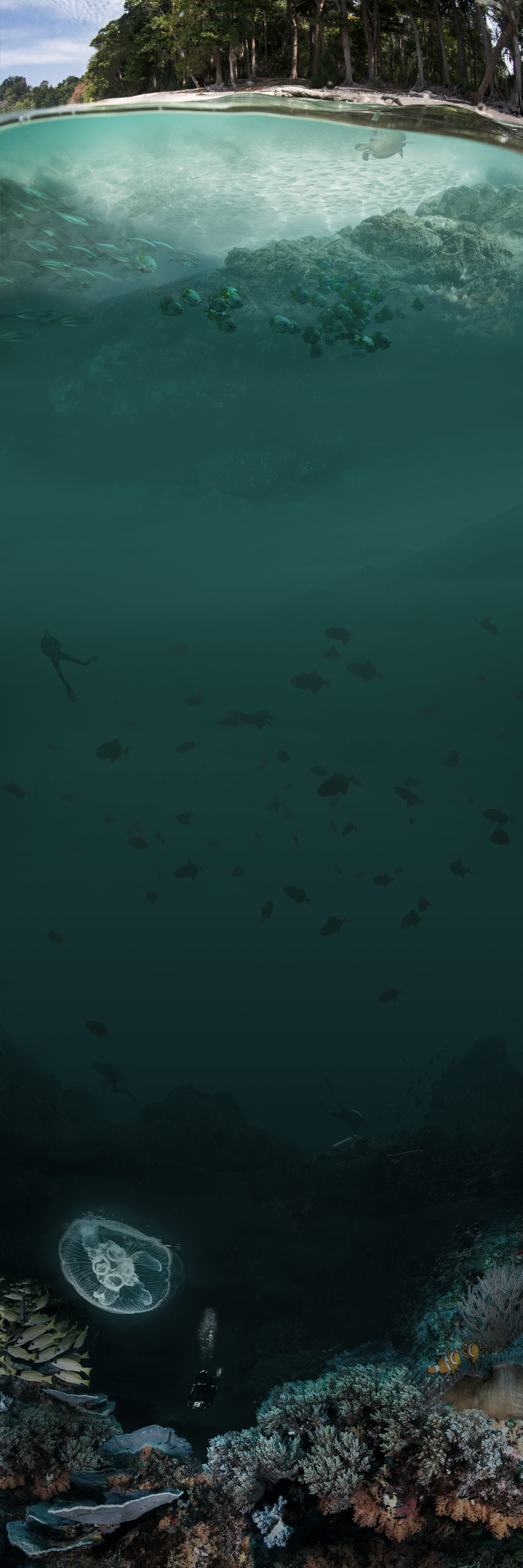 image test